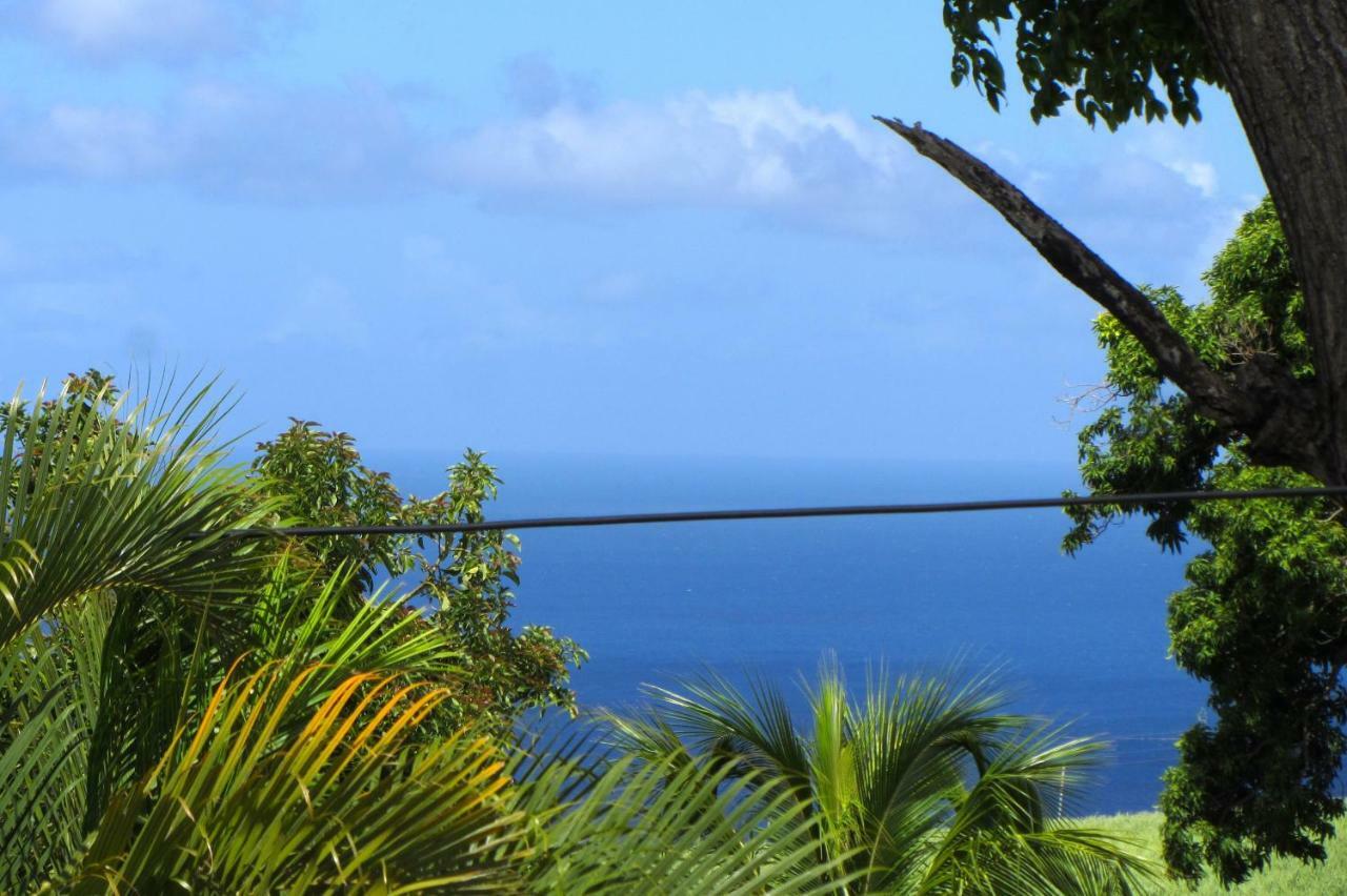 Or Bleu-Bungalow Volcan Soufriere-Vue Sur Mer Saint-Claude Ngoại thất bức ảnh