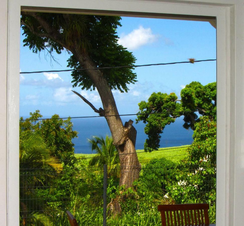 Or Bleu-Bungalow Volcan Soufriere-Vue Sur Mer Saint-Claude Ngoại thất bức ảnh